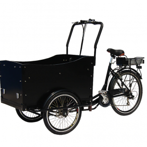 Triple-e cargo bike